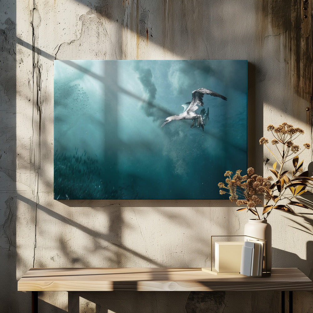 plunge diver | Canvas