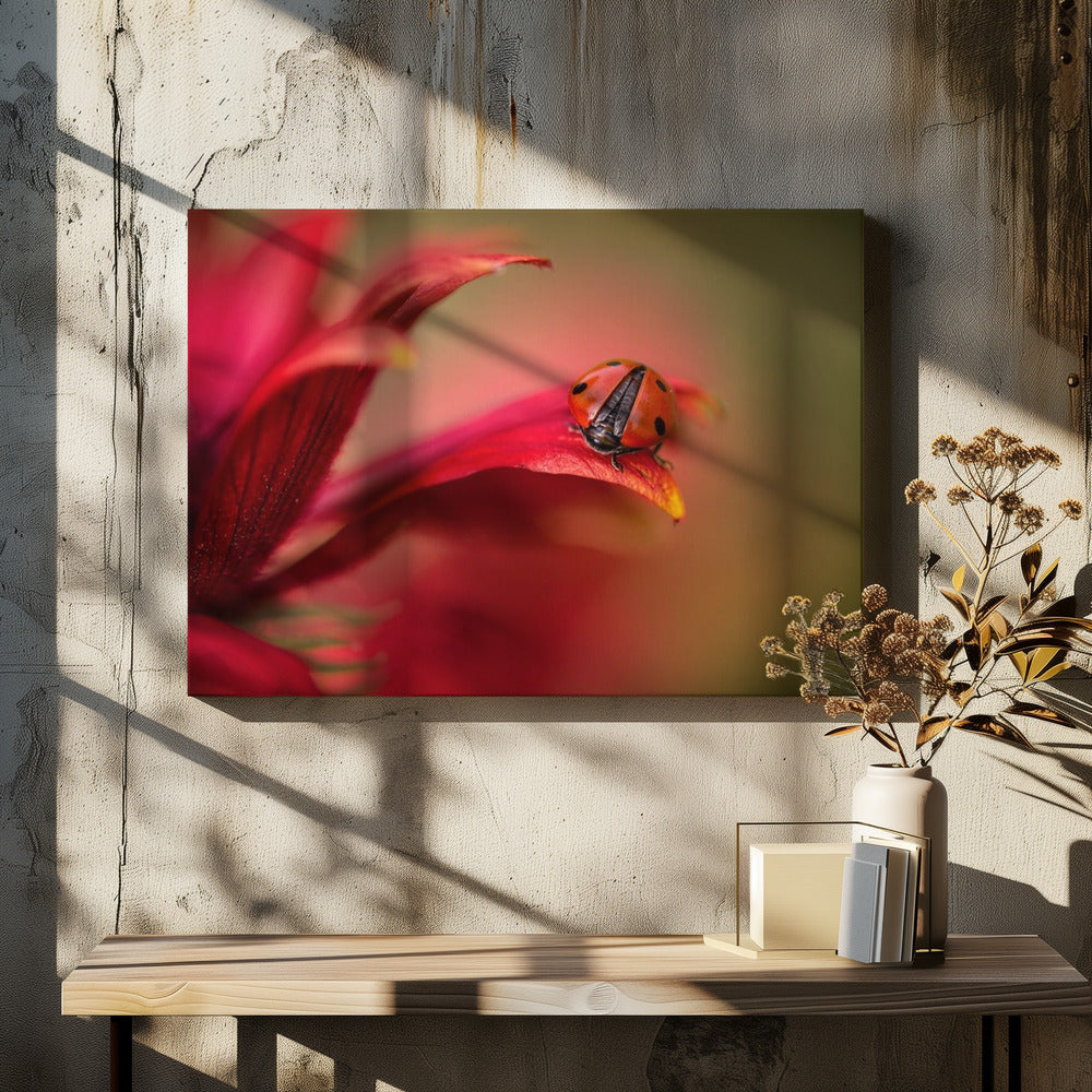 Simply red | Canvas