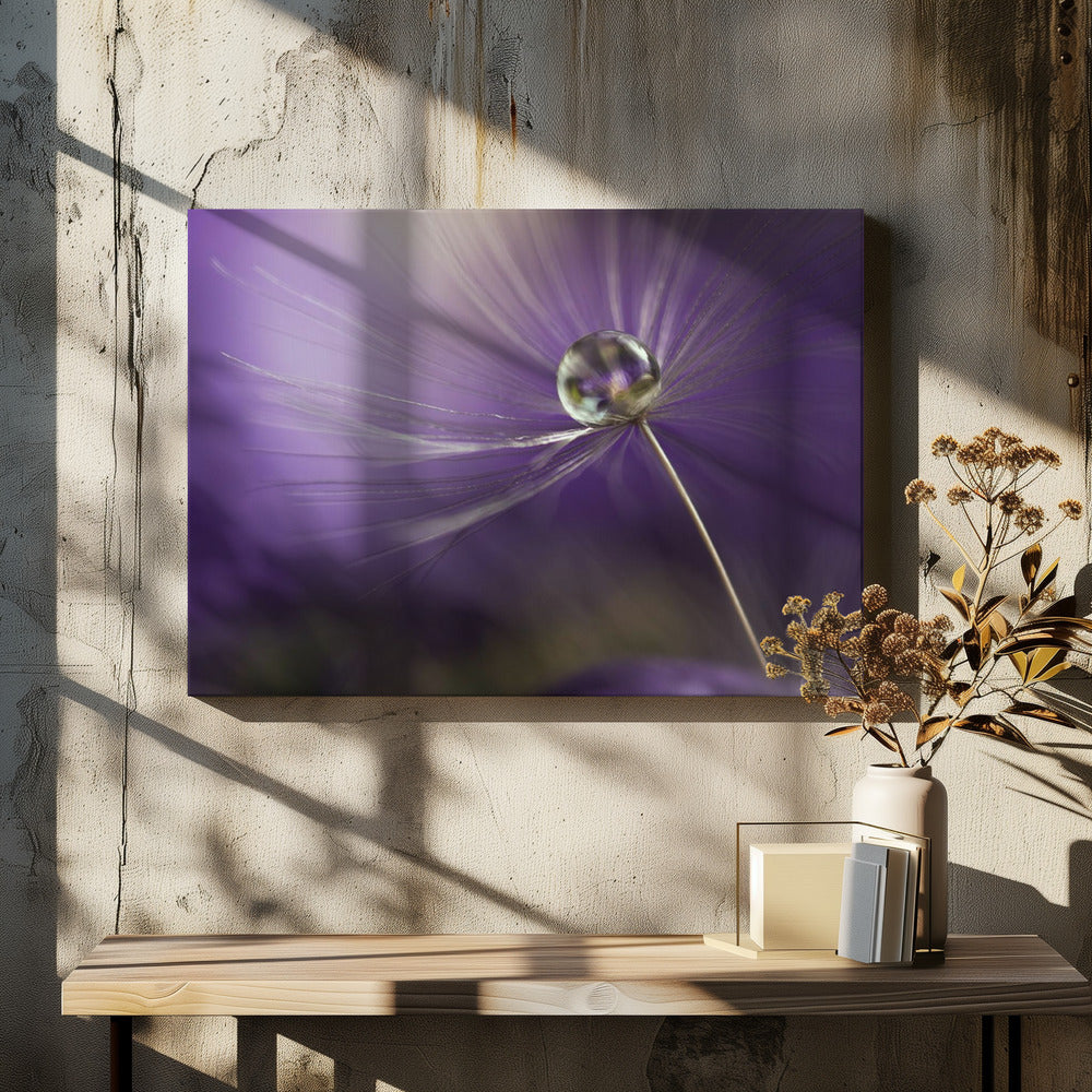 In shades of purple | Canvas