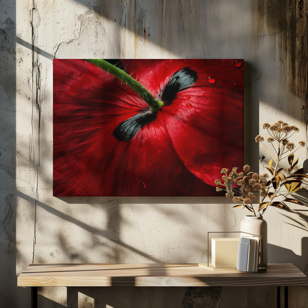 Papaver passion | Canvas