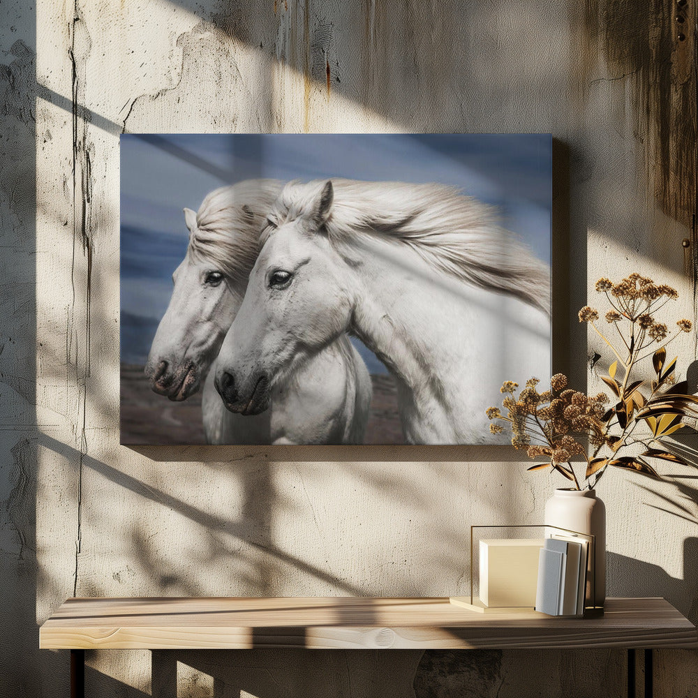 Blowing | Canvas