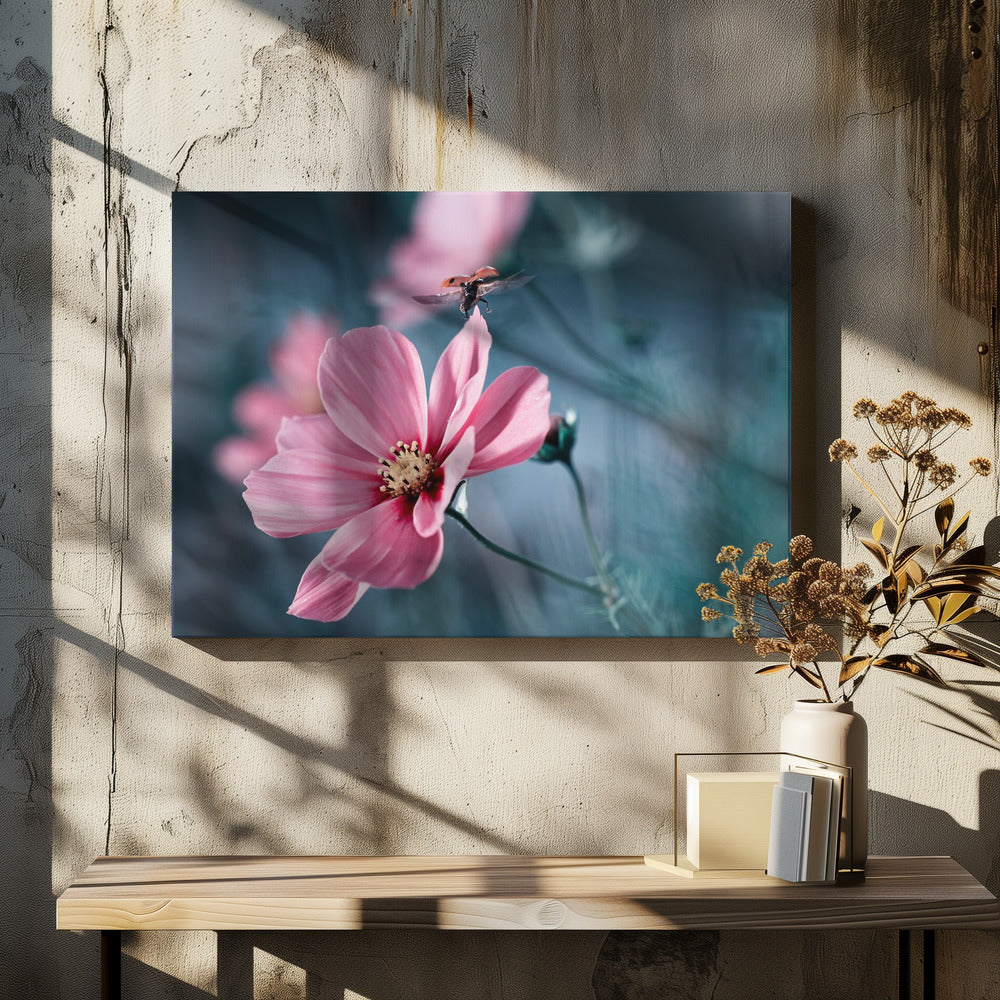 Clair de Terre | Canvas