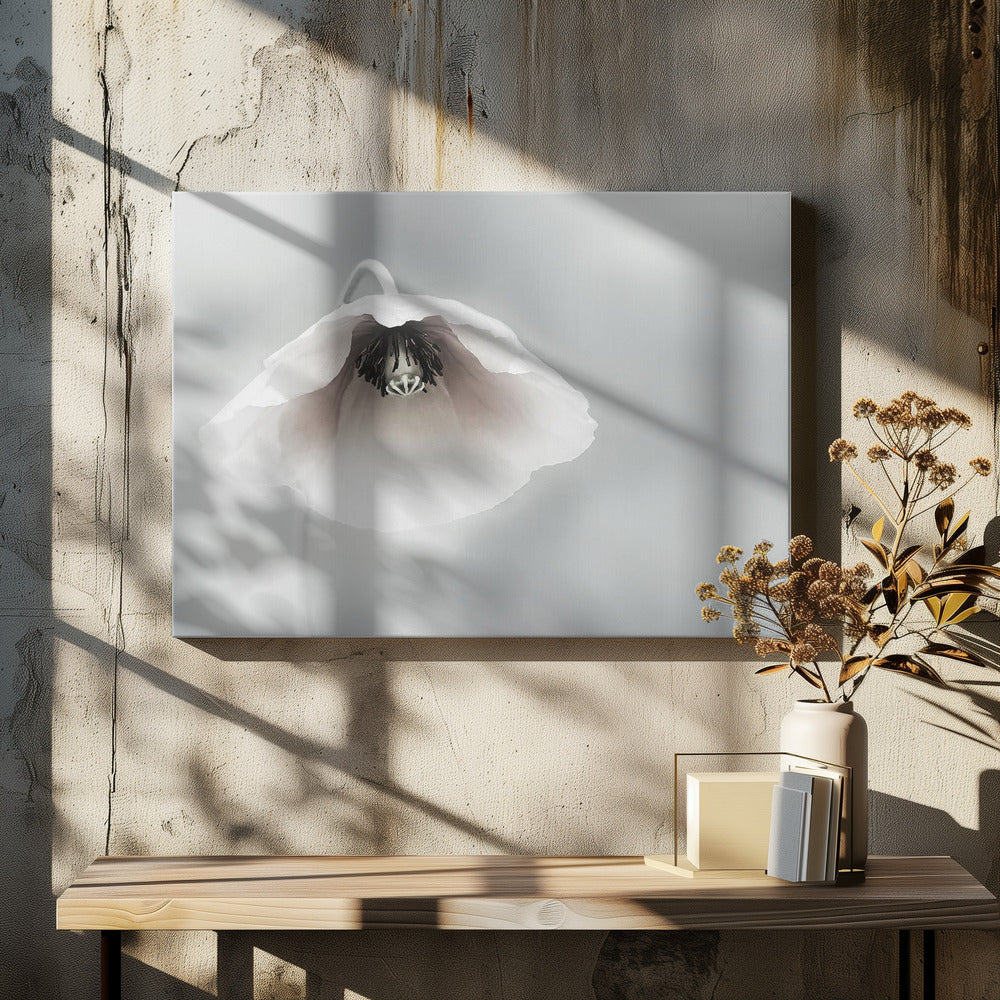 Ephemeral Beauty | Canvas