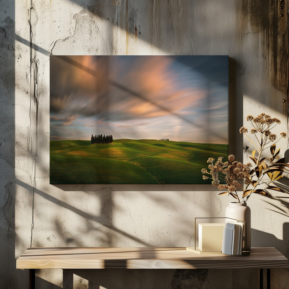 Fields... | Canvas