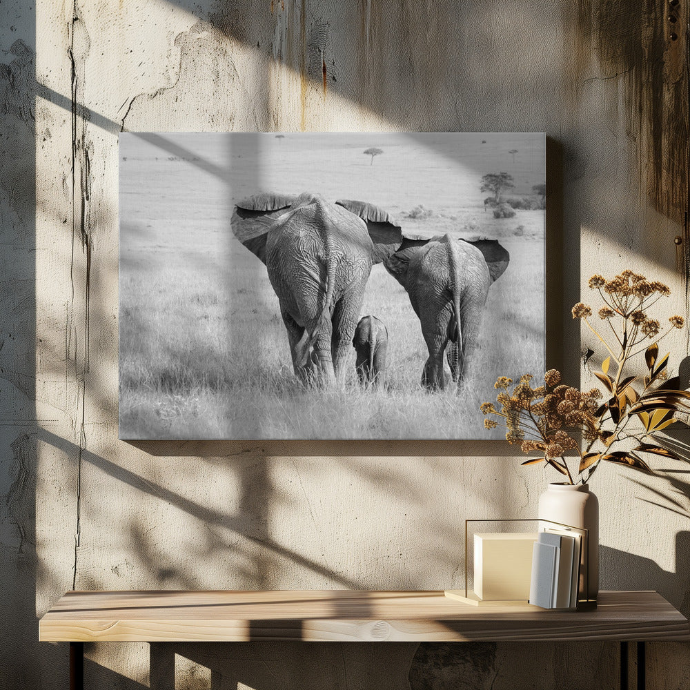 Three Butts! | Canvas