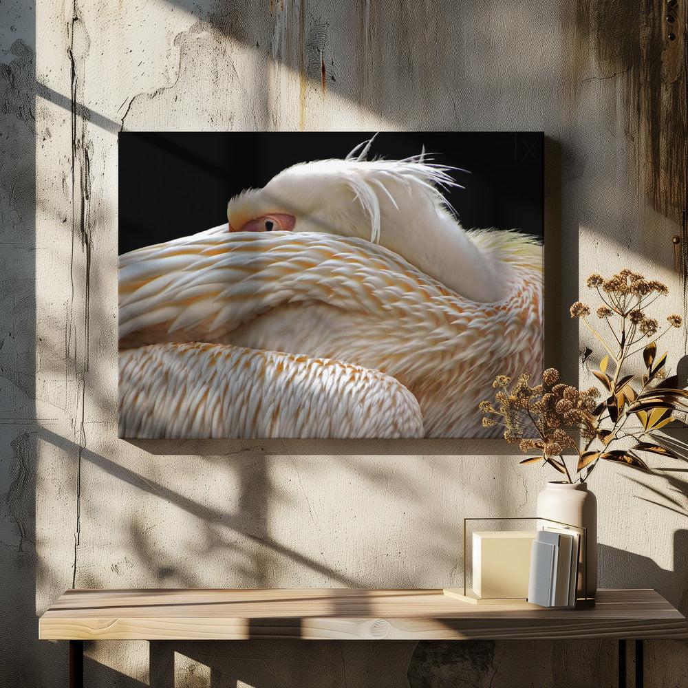 To be half asleep... | Canvas