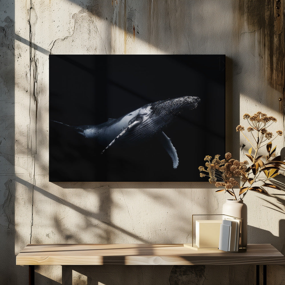 Black & Whale | Canvas