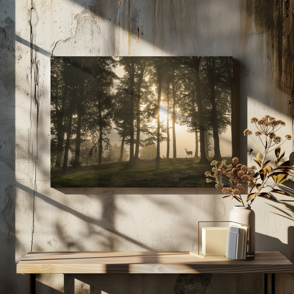 Deer in the morning mist. | Canvas