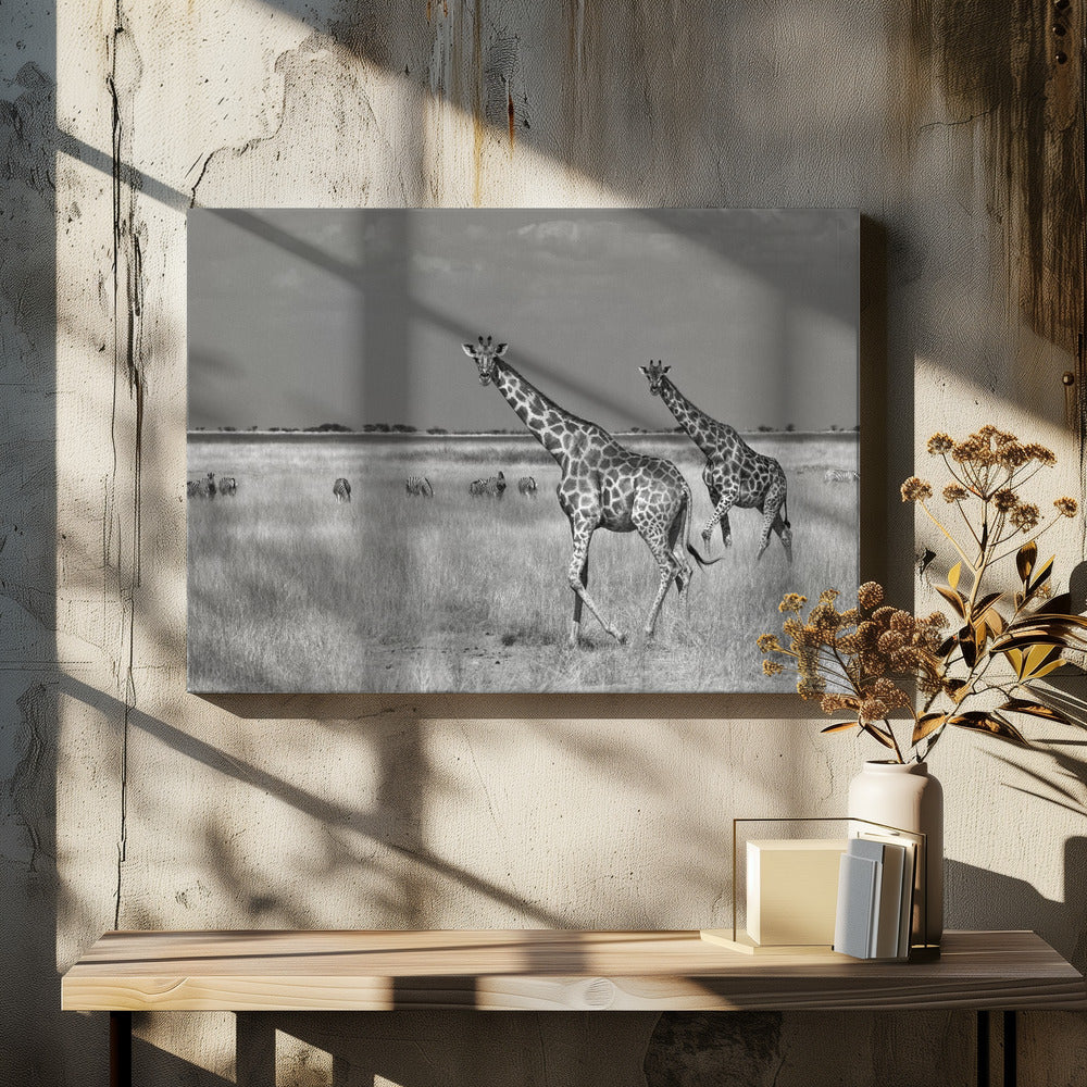 Tourists Spend | Canvas