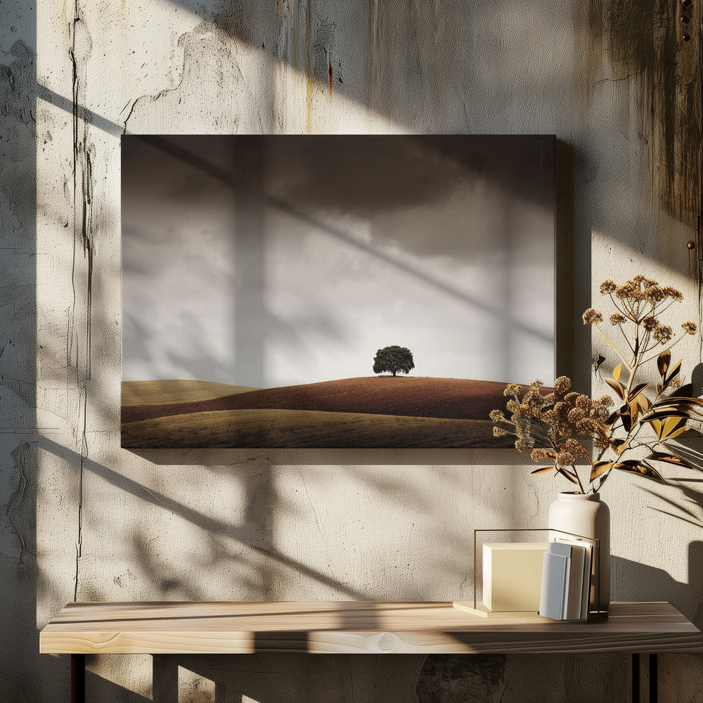 Tuve Que Pararme al Verla | Canvas