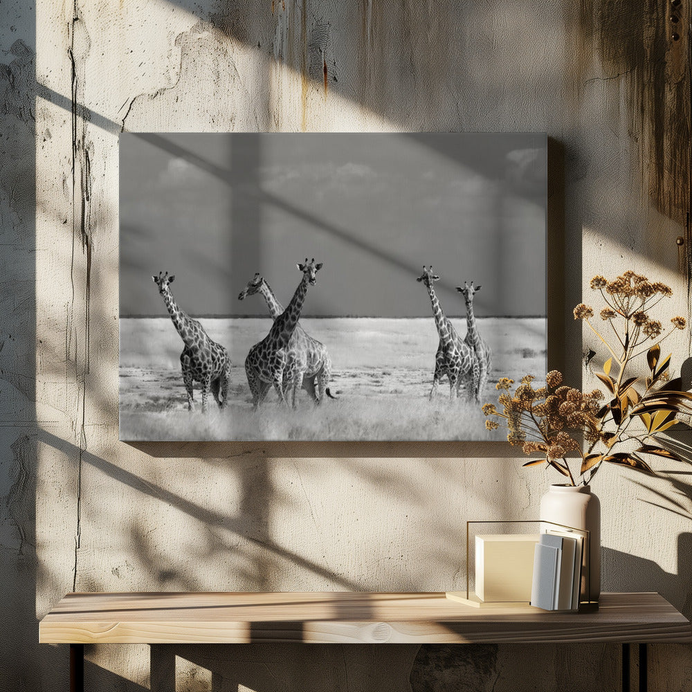 Look Girl Strange Animals | Canvas