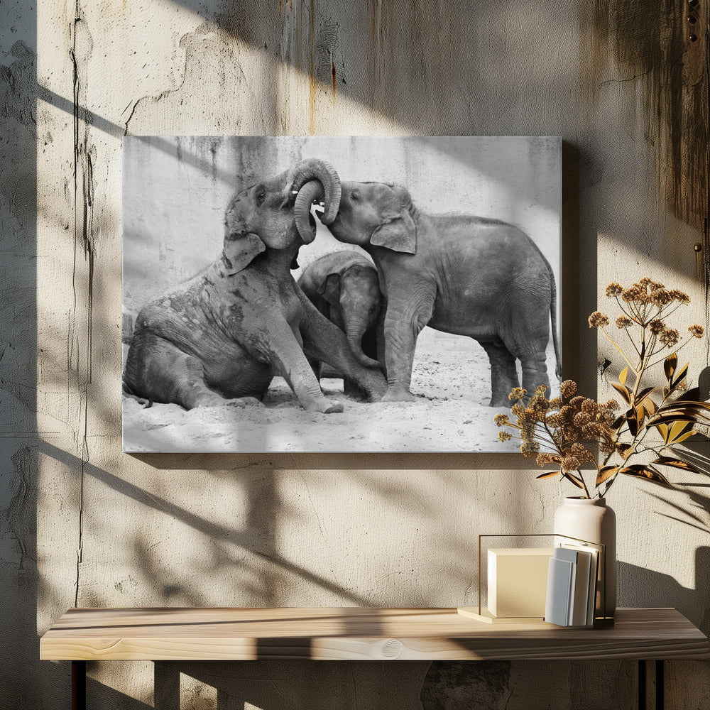 MÉNAGE À TROIS | Canvas