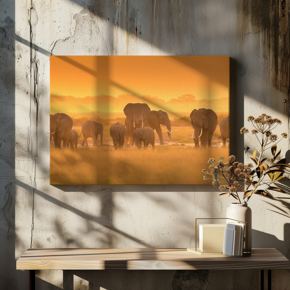 Golden Light | Canvas