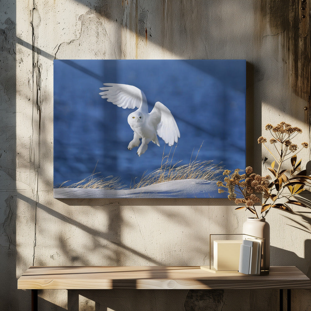 White Spirit demon | Canvas