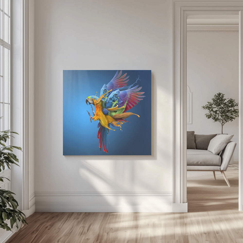 Flying Colours | Canvas