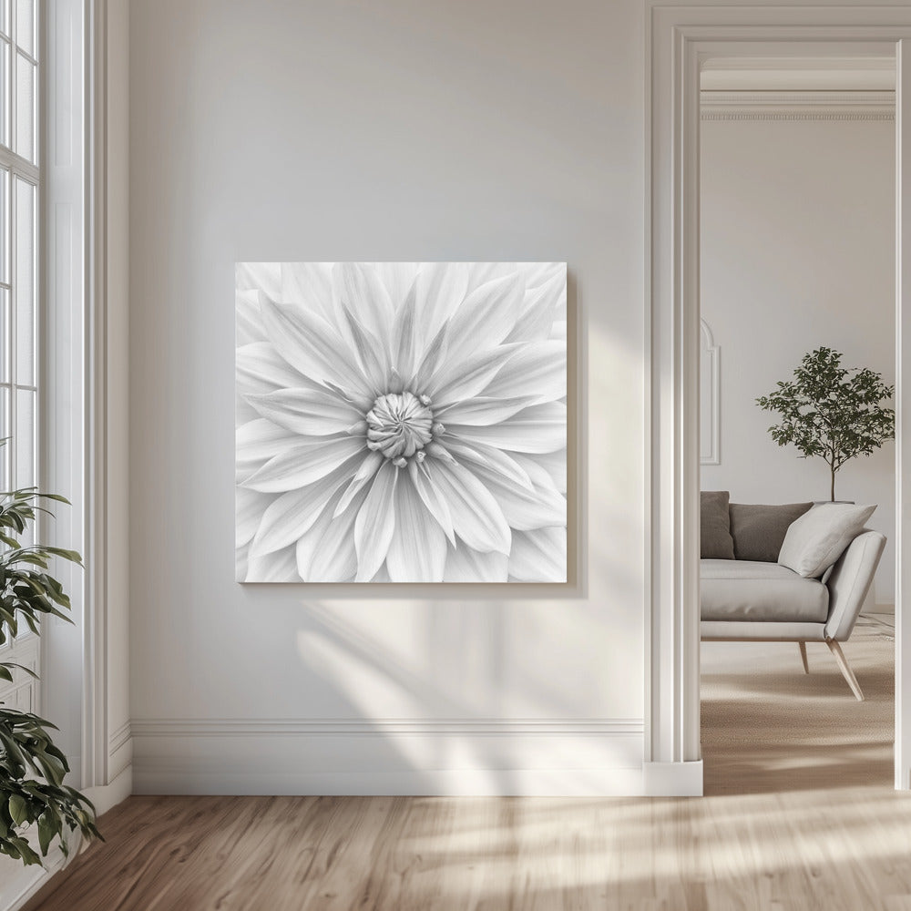 Hamari gold in monochrome | Canvas