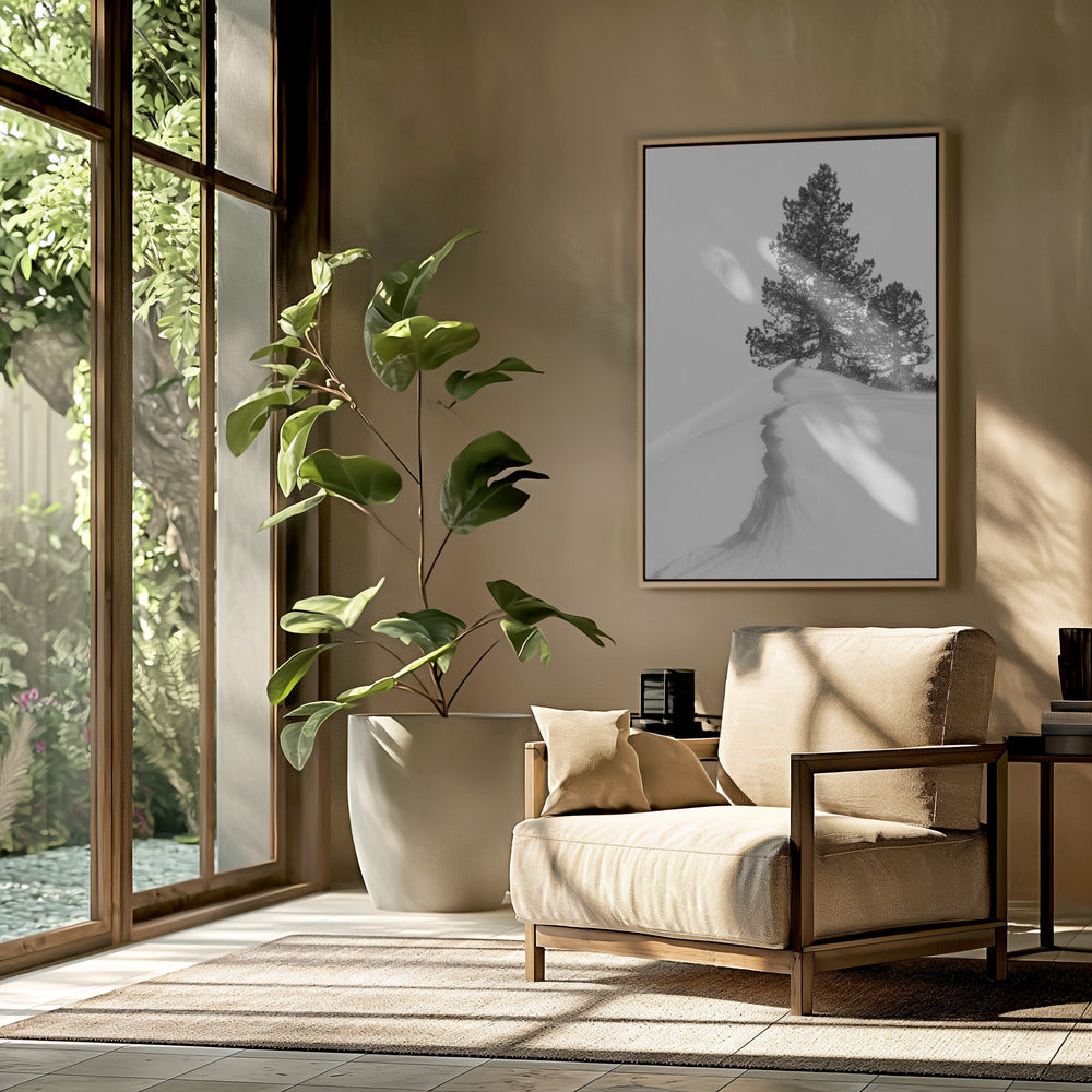 About the snow and forms | Poster