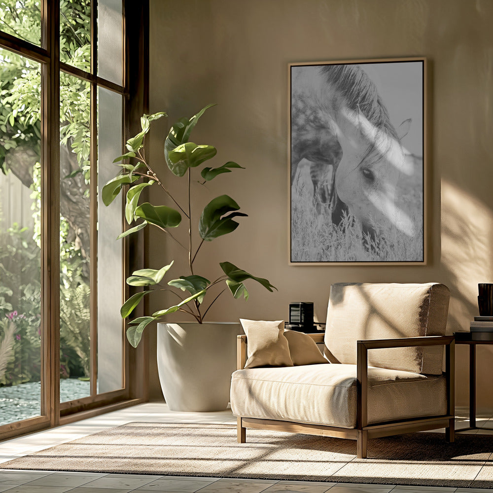 stallion | Poster