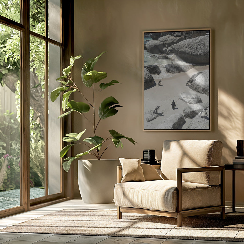 Penguin Beach Stroll | Poster