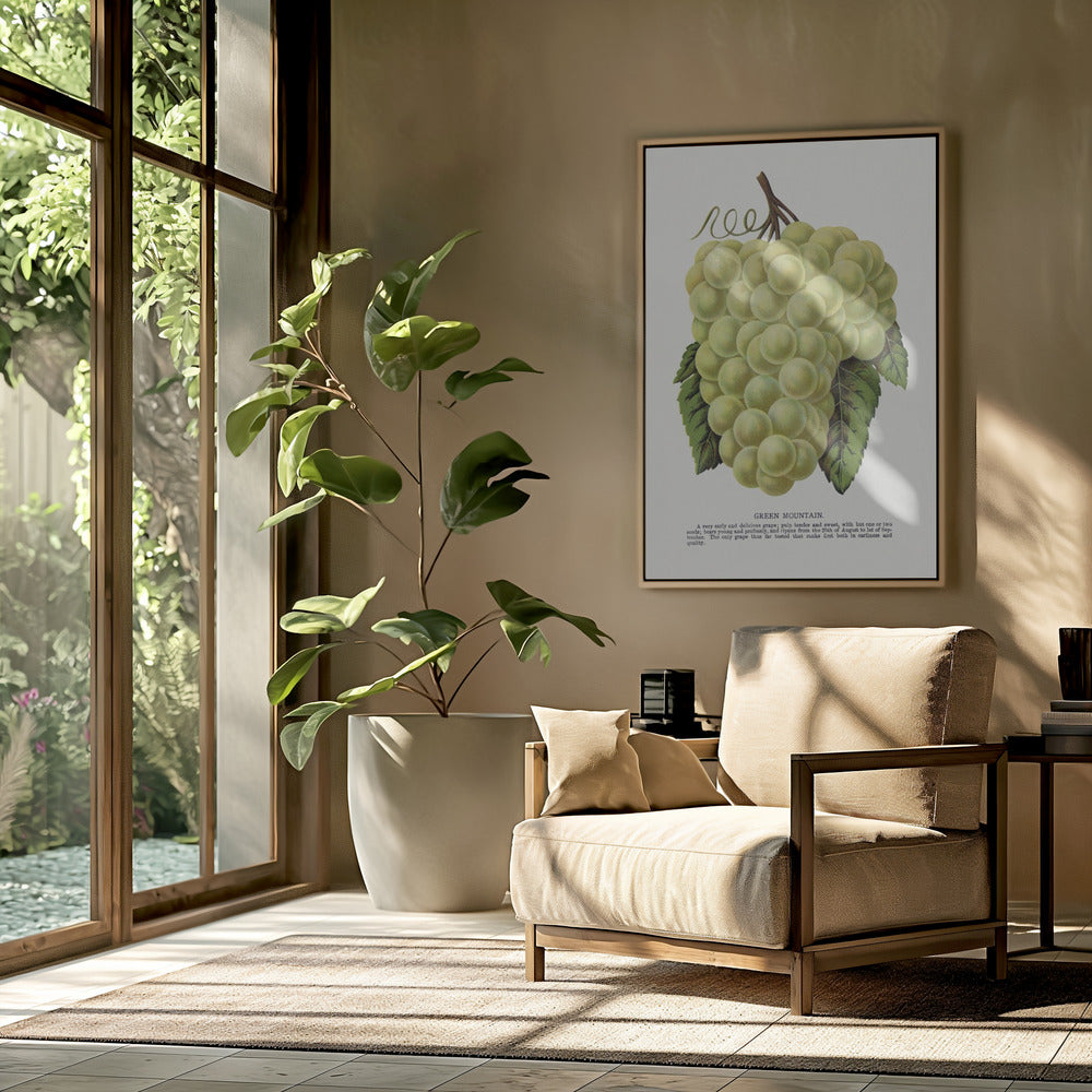 Green Mountain Grape Lithograph | Poster
