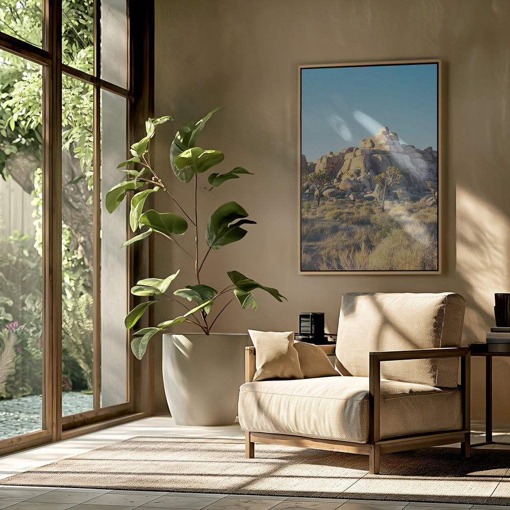 Joshua Tree Sunset | Poster