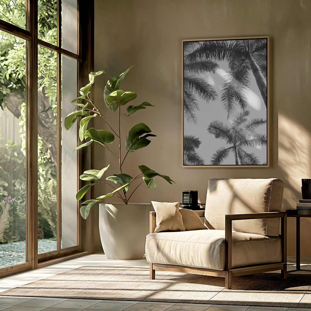 Black And White Palm Tree | Poster