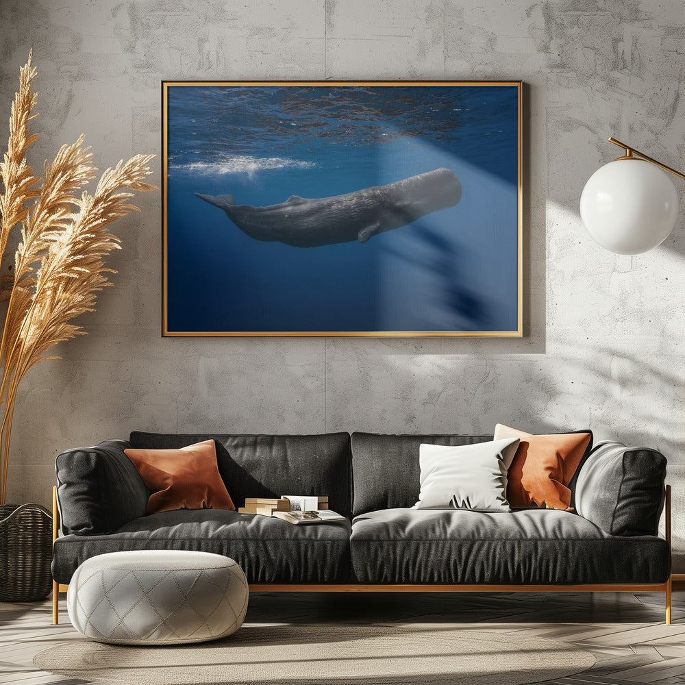 Sperm whale | Canvas