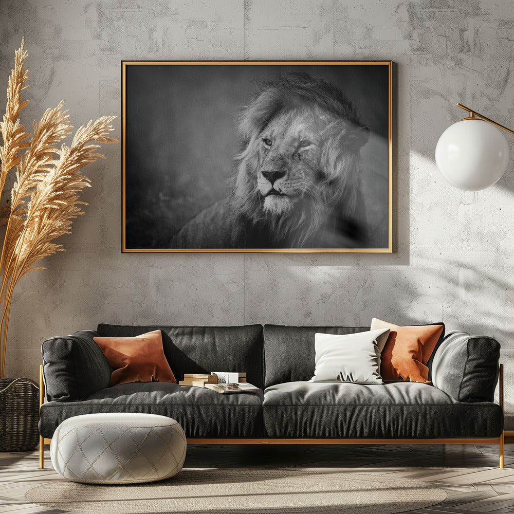 Regal | Canvas