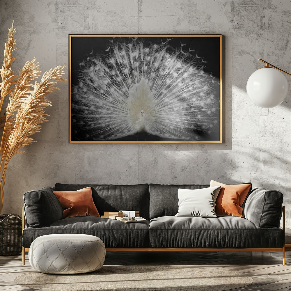 black and white, | Canvas