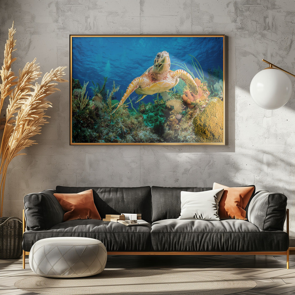 Hawksbill turtle swimming through Caribbean reef | Canvas