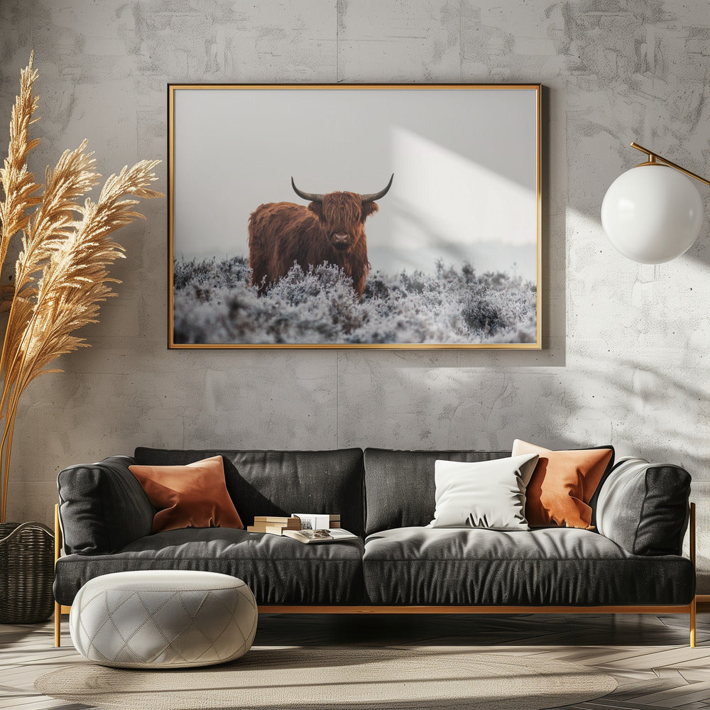 Highlander | Canvas