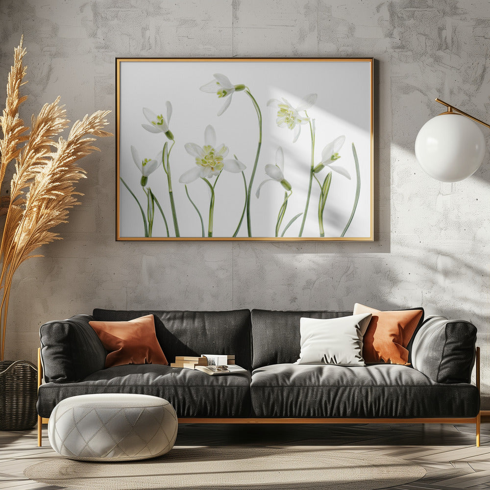 Spring Snowdrops | Canvas