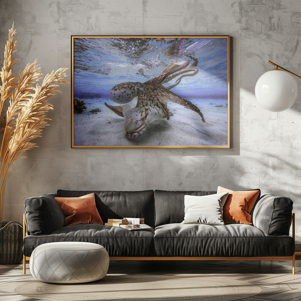 Dancing Octopus | Canvas
