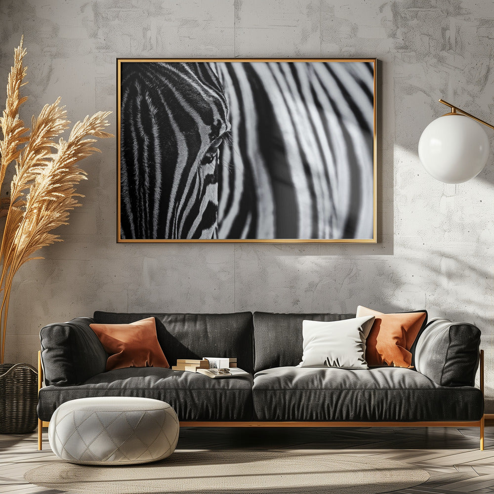 The look of nature | Poster