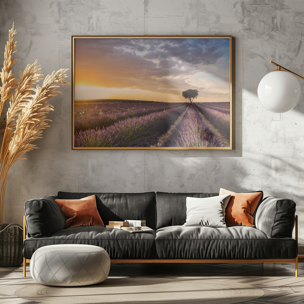 DESTINATION LAVENDER | Canvas