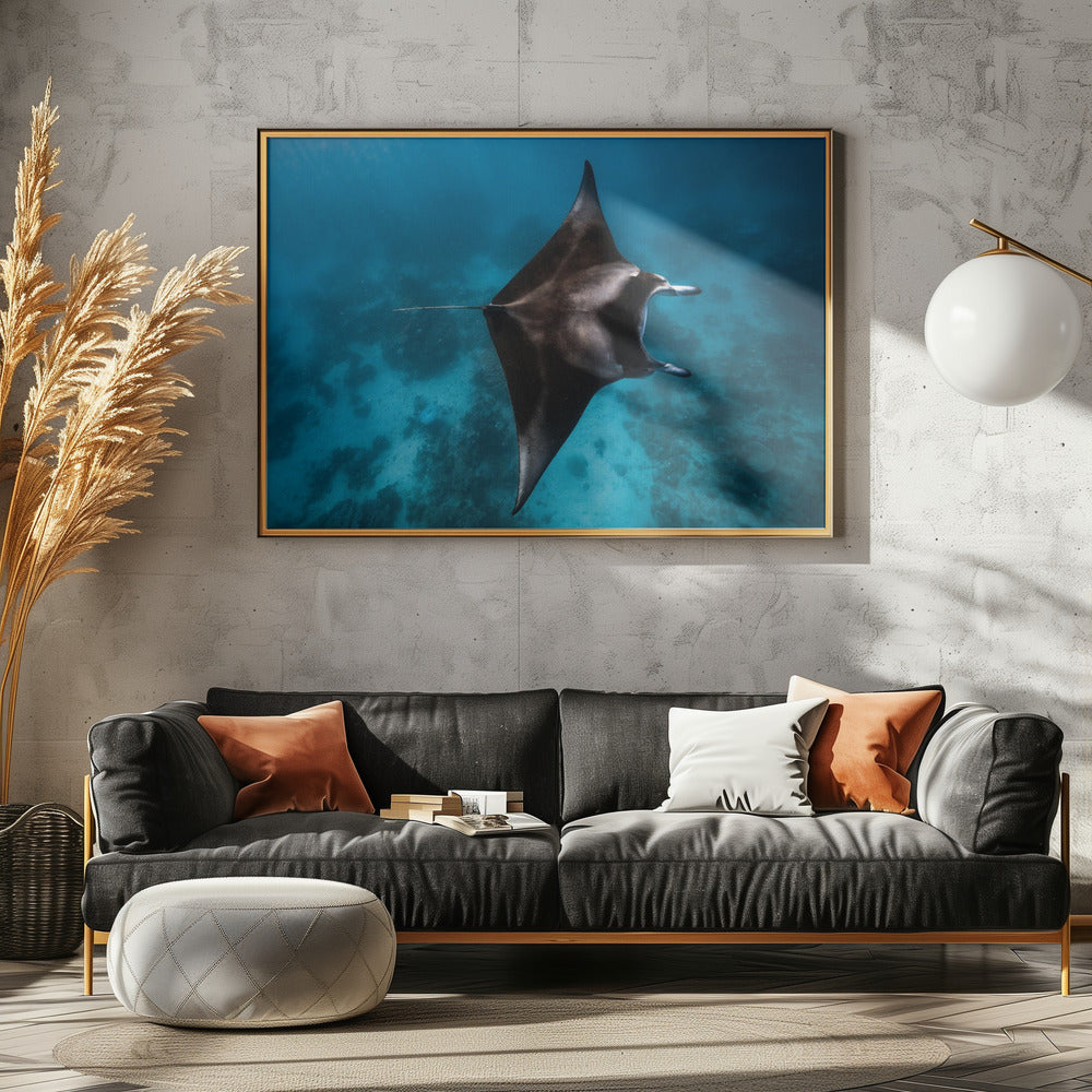 Manta fly!!! | Poster