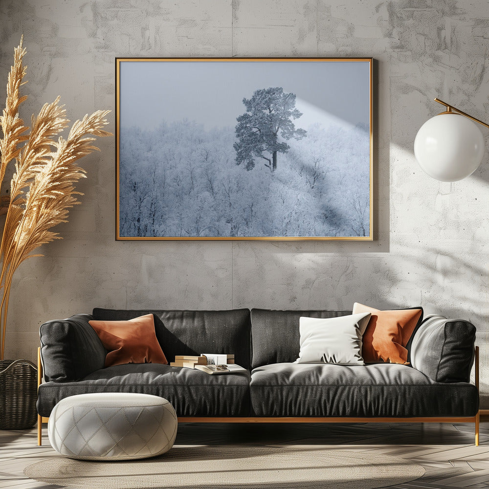 First snow | Canvas