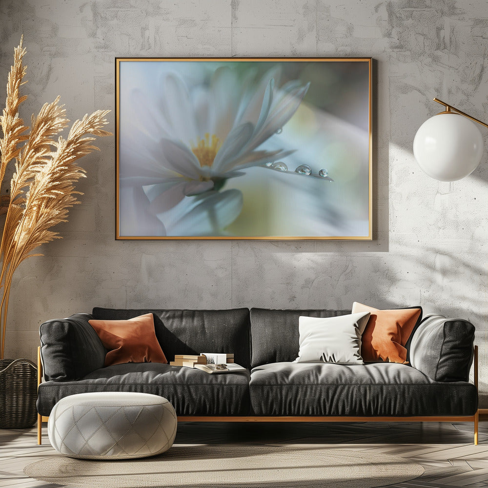 Light touch... | Canvas