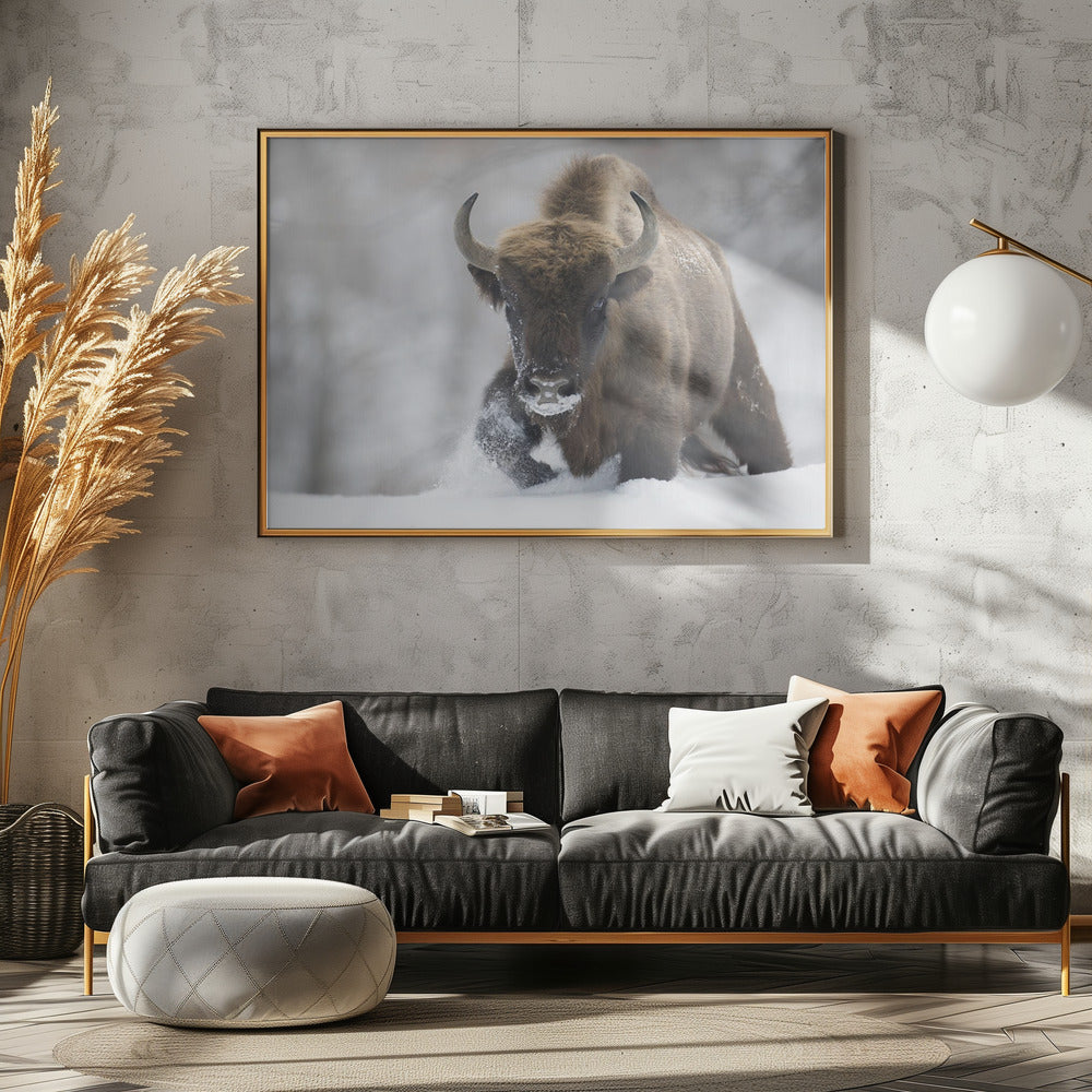 Rewilded | Canvas