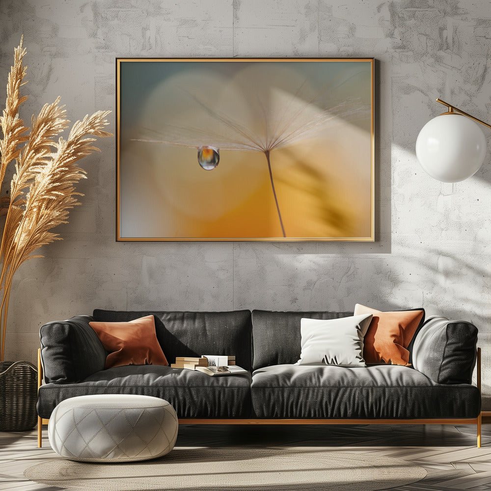 Little Night Music... | Poster