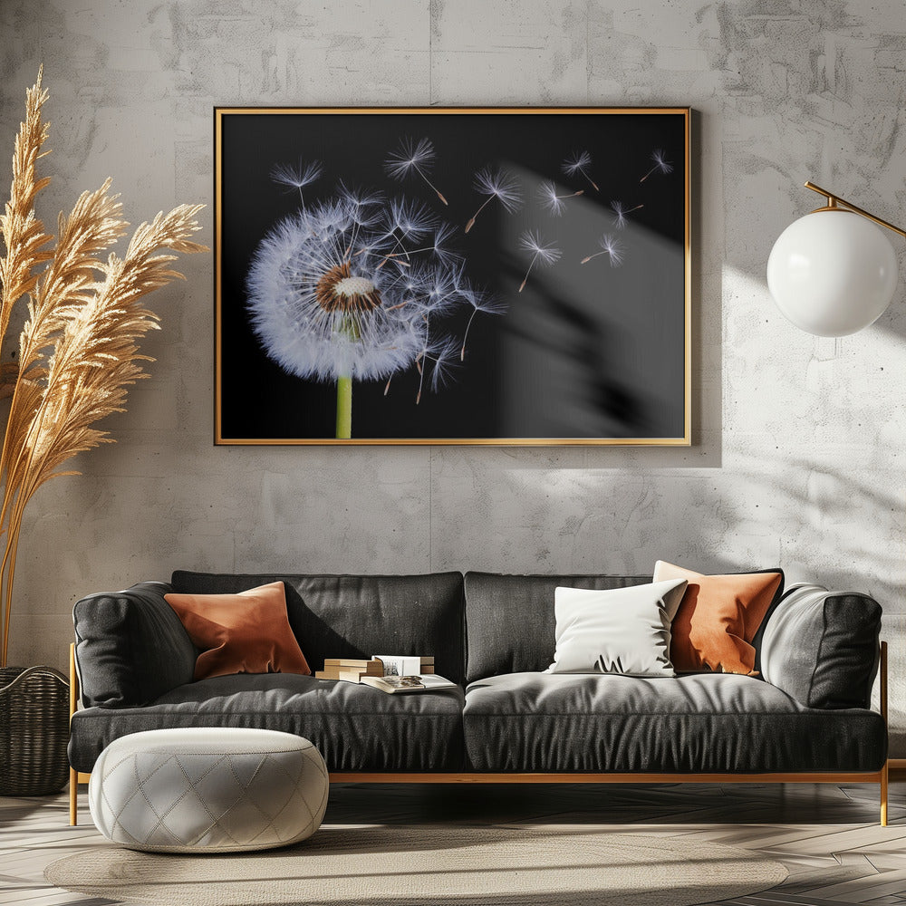Dandelion Blowing | Poster