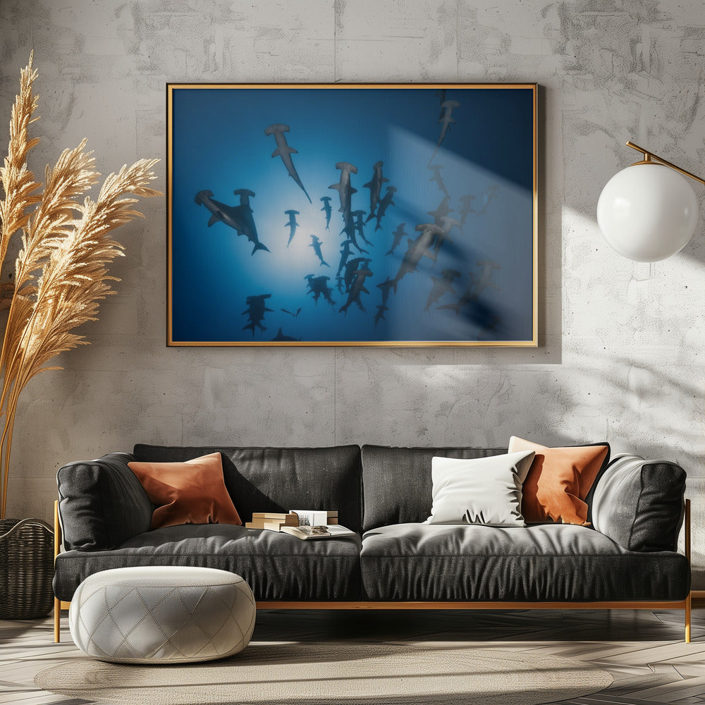 Hammerhead Shark - Underwater Photography | Canvas