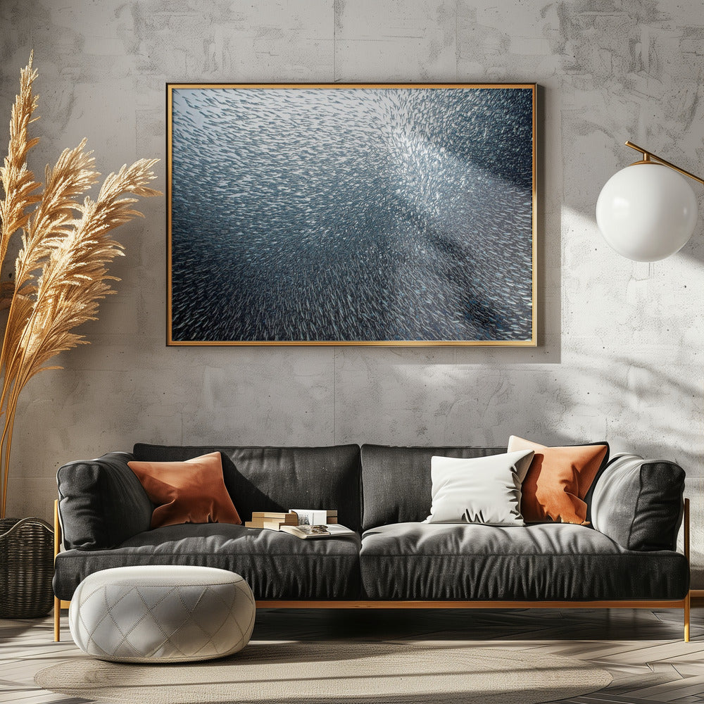 Sardines Firework | Canvas