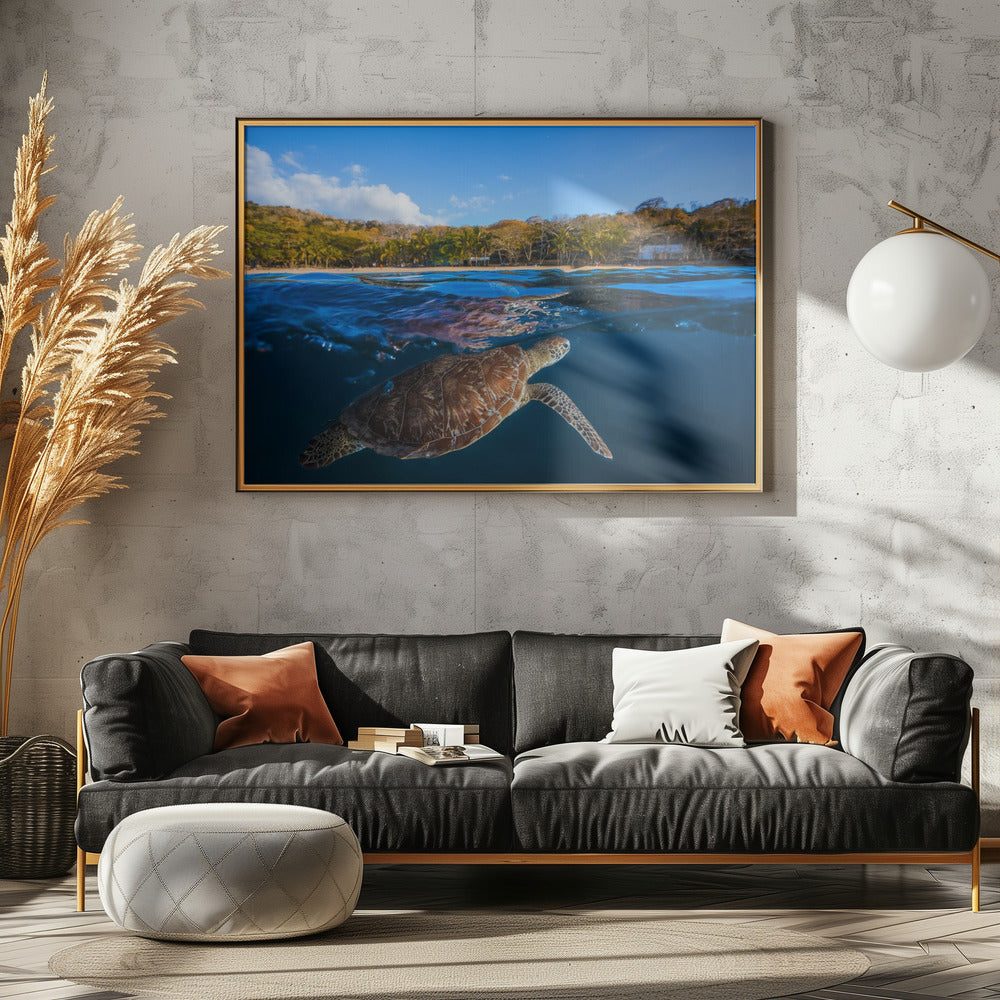 Green Turtle - Sea Turtle | Canvas