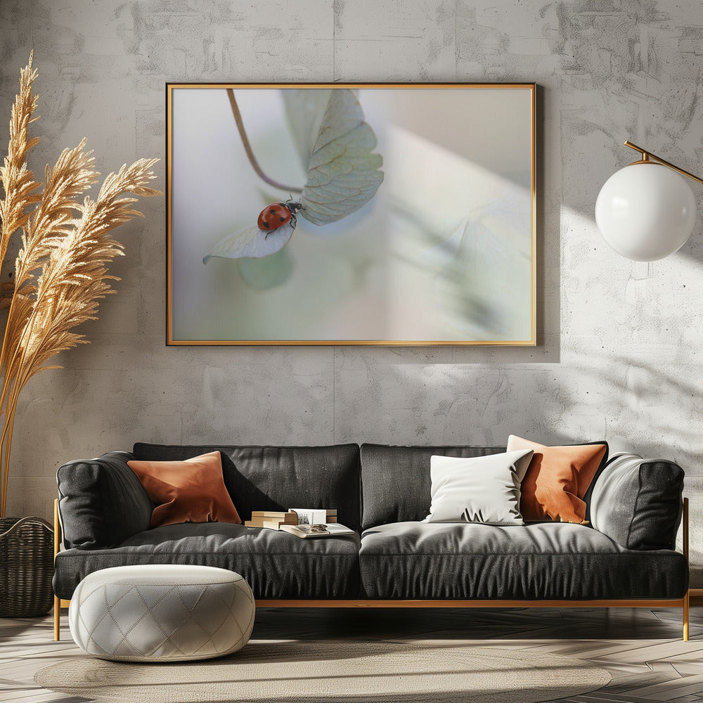 Ladybird on blue-green hydrangea | Poster