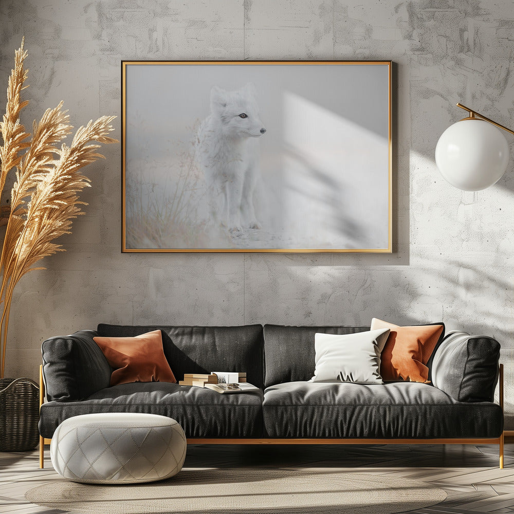 Looking around | Poster