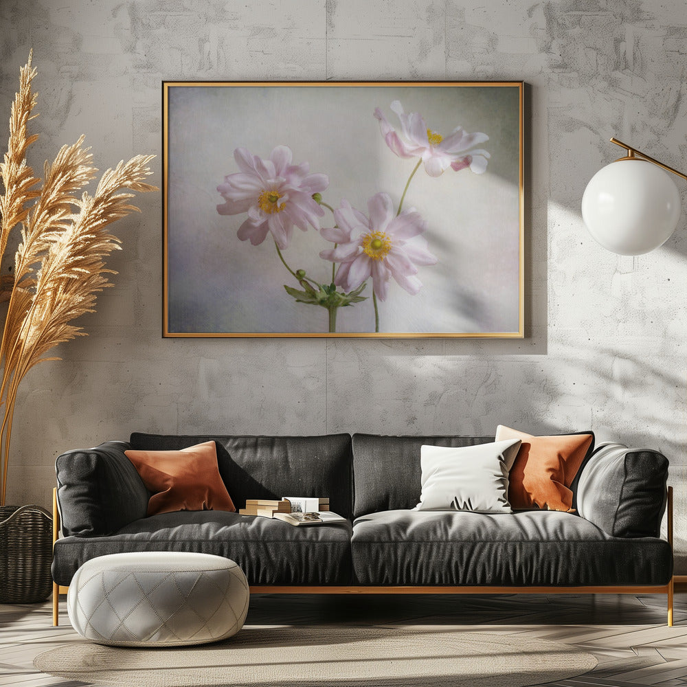 Anemones | Canvas