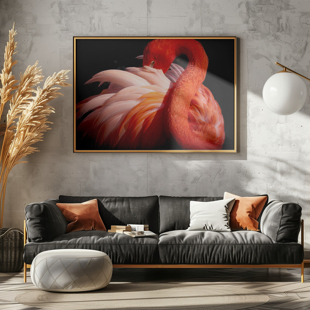 flamingo | Canvas