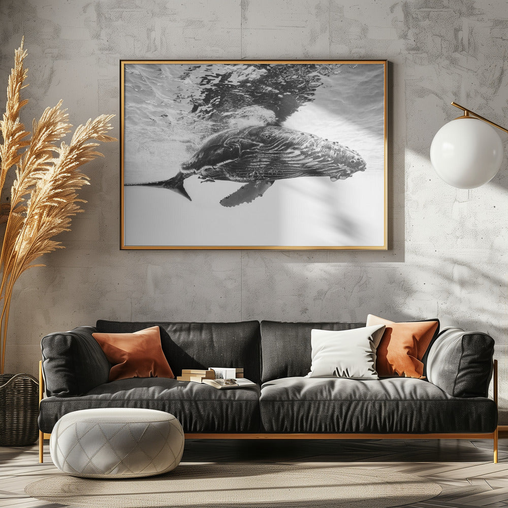 Humpback whale calf | Canvas