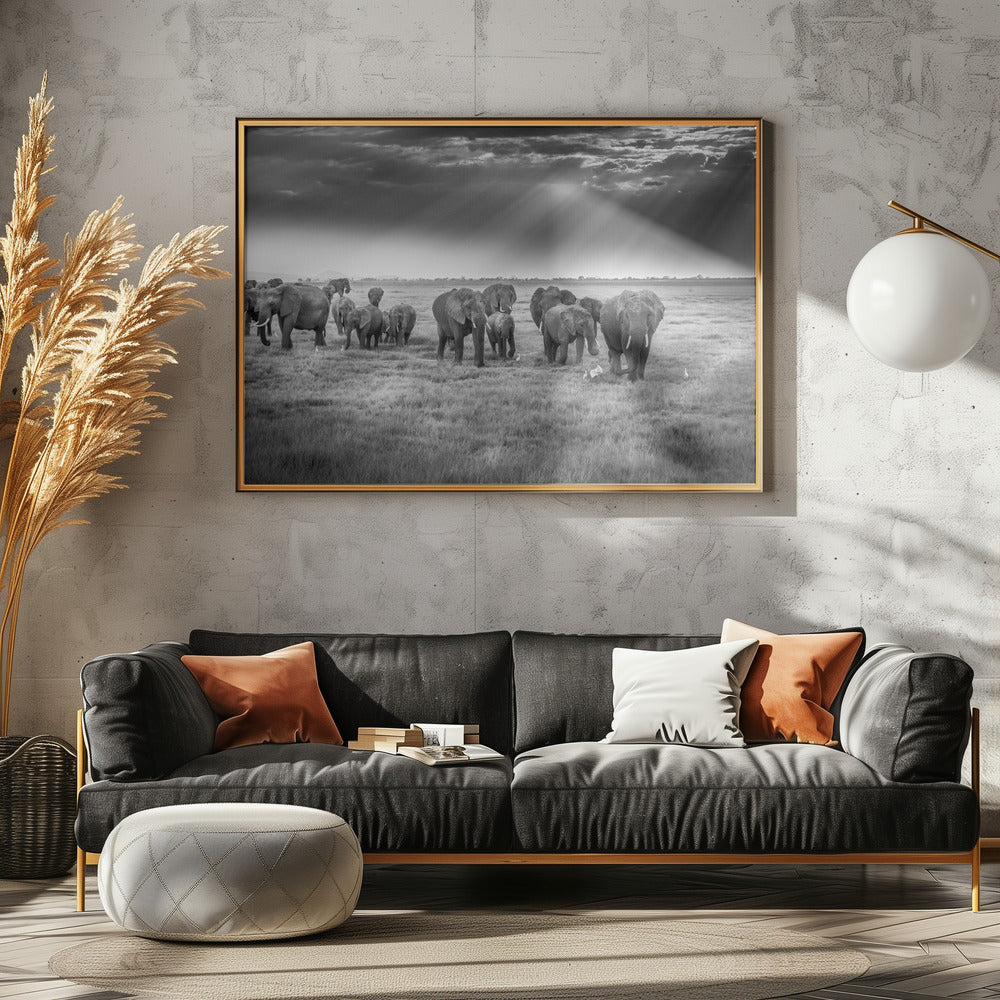 Breakfast with pachyderms | Canvas